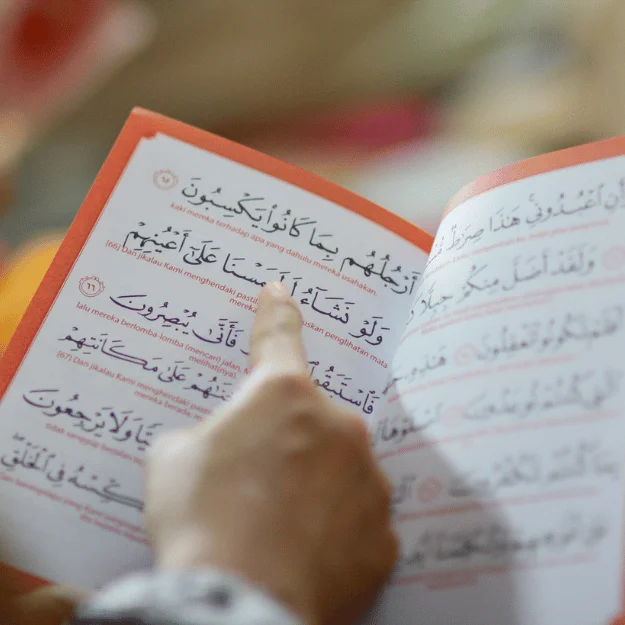 Quran Translation